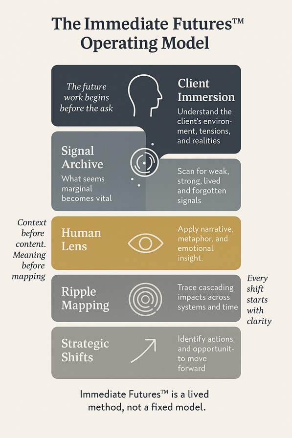 Diagram of The Immediate Futures Operating Model